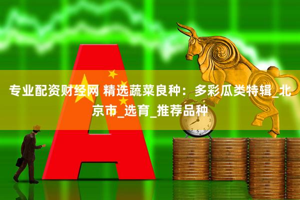 专业配资财经网 精选蔬菜良种：多彩瓜类特辑_北京市_选育_推荐品种