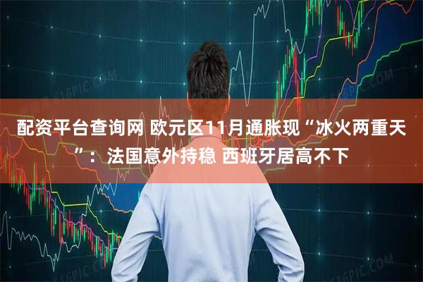 配资平台查询网 欧元区11月通胀现“冰火两重天”：法国意外持稳 西班牙居高不下